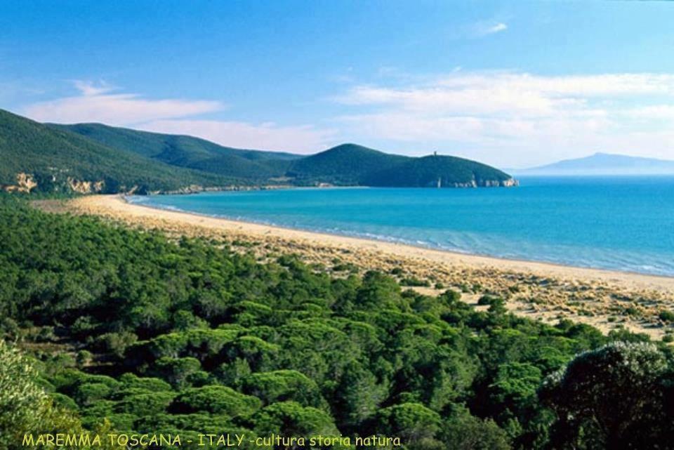Agriturismo Severini Фонтебланда Экстерьер фото