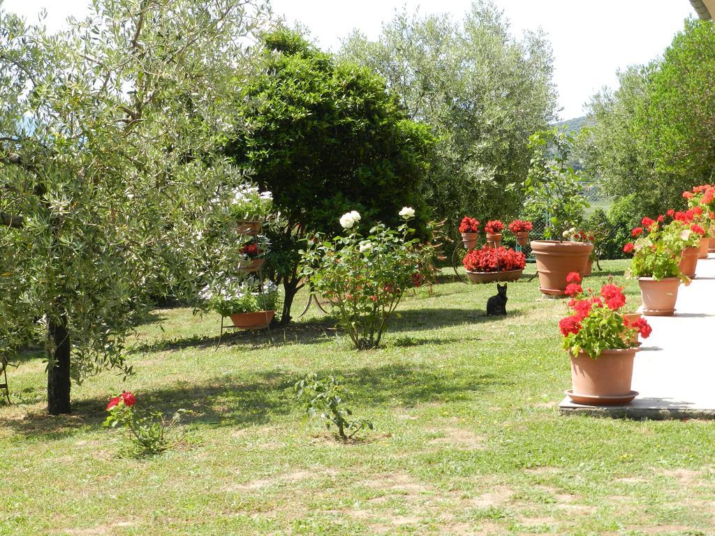 Agriturismo Severini Фонтебланда Экстерьер фото